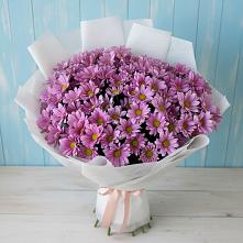 Букет цветов из:  Хризантемы в Зубутлях-Миатли